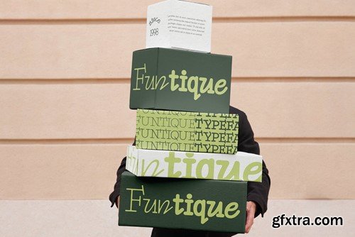 Funtique - Unique Serif Typeface X37BBD8