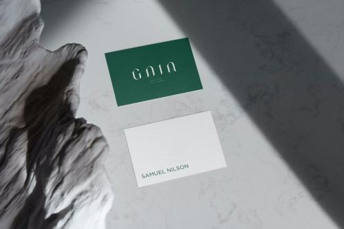 Business Card Mockup Natural Texture