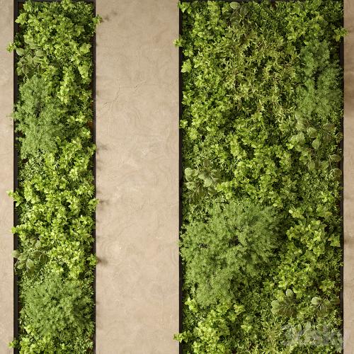 Vertical Garden 02