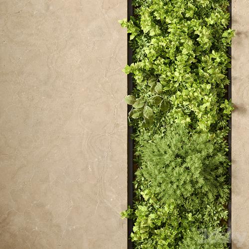 Vertical Garden 02