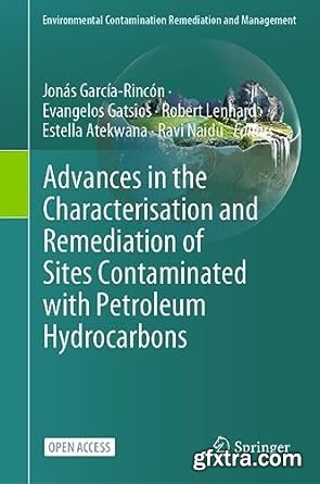 Advances in the Characterisation and Remediation of Sites Contaminated With Petroleum Hydrocarbons