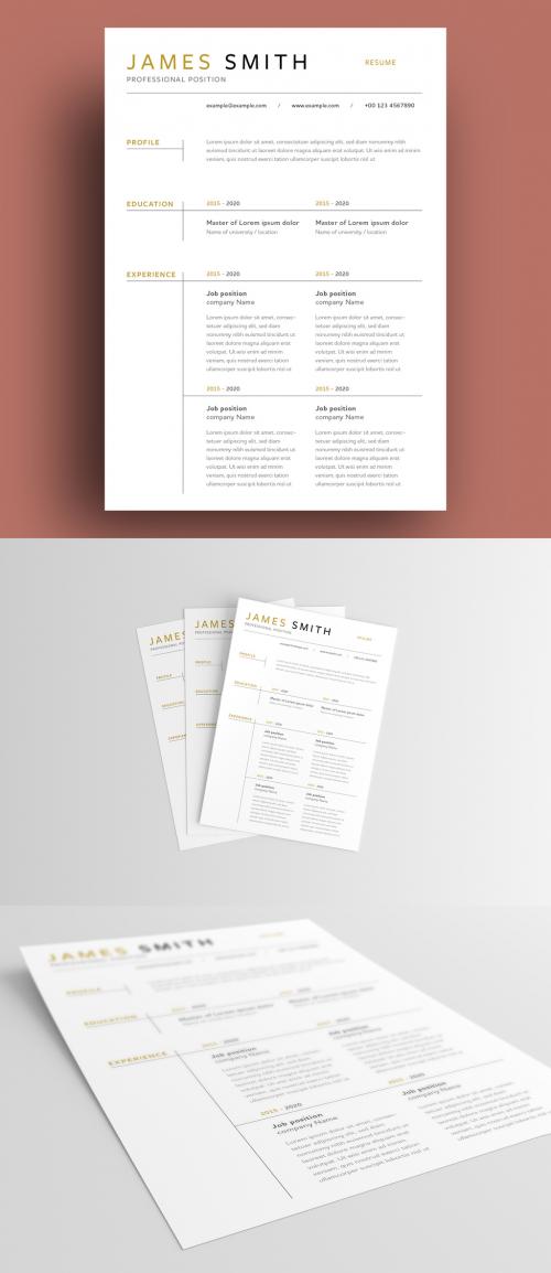 Simple Resume Layout with Gold Accents - 293837924