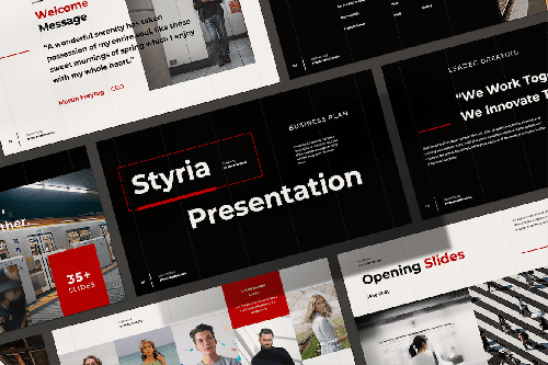 Styria Business Plan - Presentation