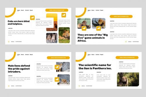 Maung - Animal Desert Lion Powerpoint Template