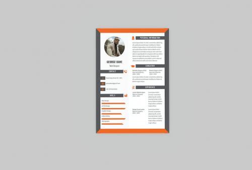 Premium Resume Designer