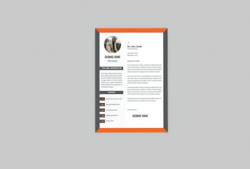 Premium Resume Designer