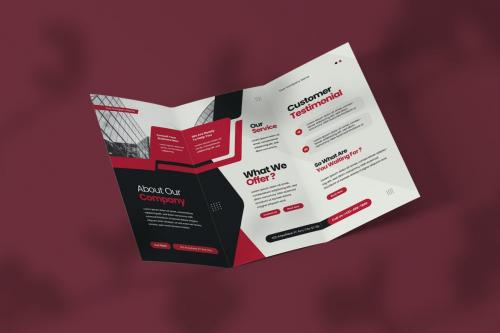 Consultant - Trifold Brochure