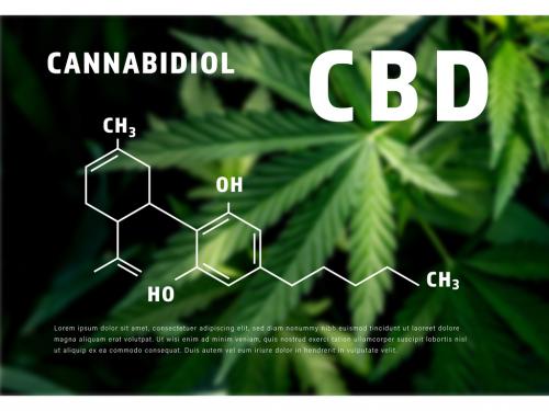 CBD Oil Infographic with Molecular Formula Illustration - 296116480