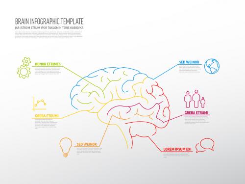 Infographic with Brain Illustration - 296419927