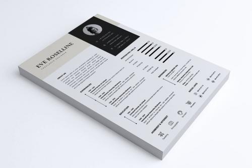 Minimalist CV Resume Vol. 18