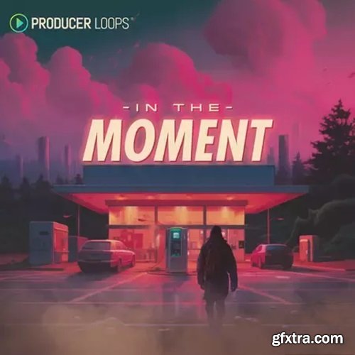 Producer Loops In The Moment