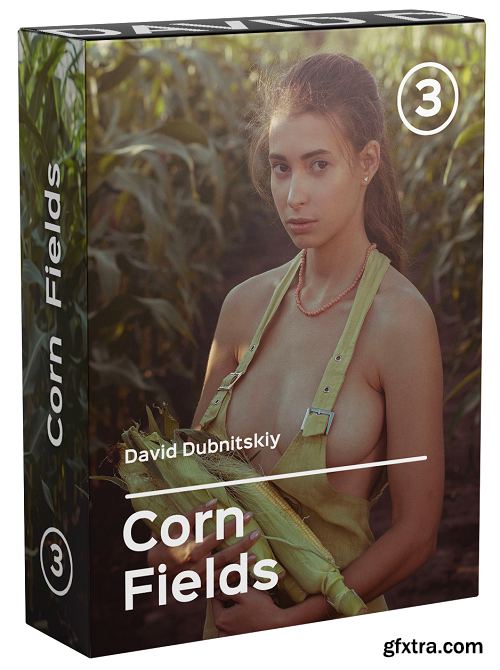 The Secrets of Masterful Erotic Photography by David Dubnitskiy: Corn Field Photoshoot