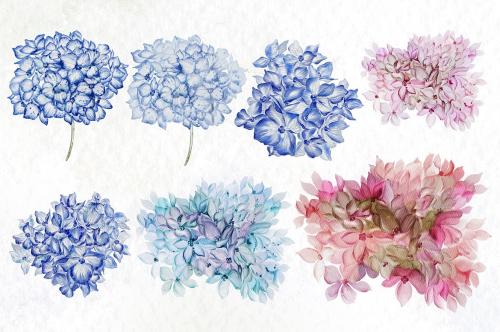 Watercolor Hydrangea Flowers