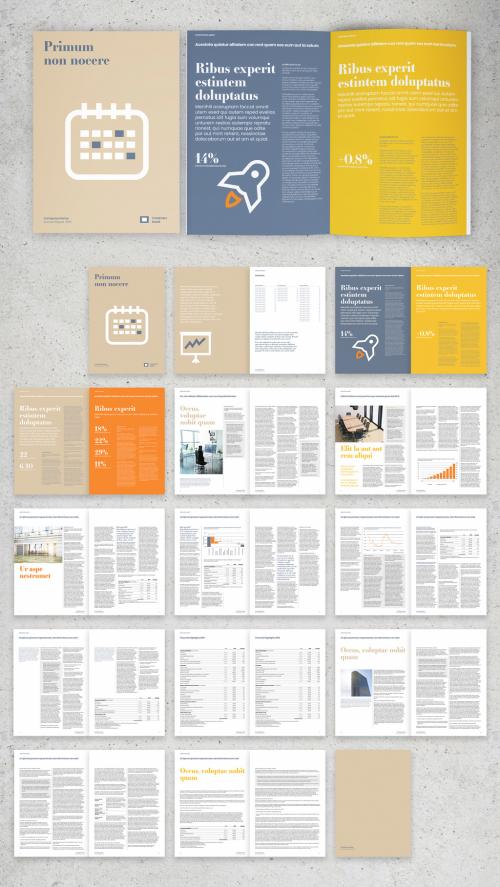 Minimalist Annual Report Layout - 299133732