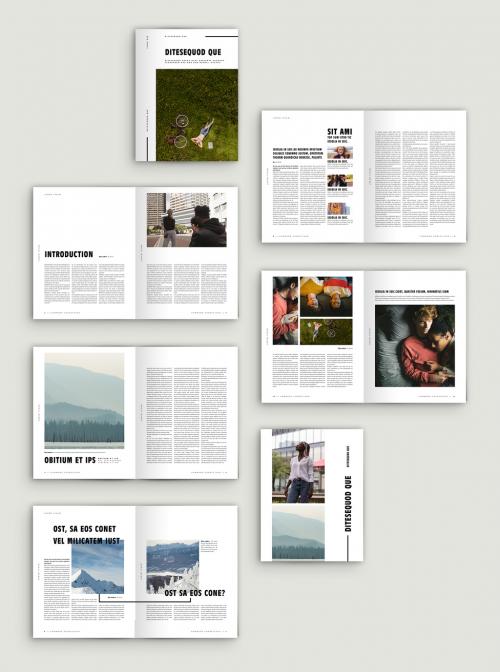 Magazine Layout with Line Design Elements - 299820158