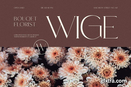 Maven Elegant Serif Font Typeface 2UZ2EF5