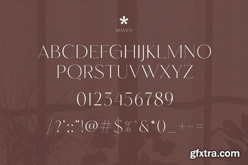 Maven Elegant Serif Font Typeface 2UZ2EF5