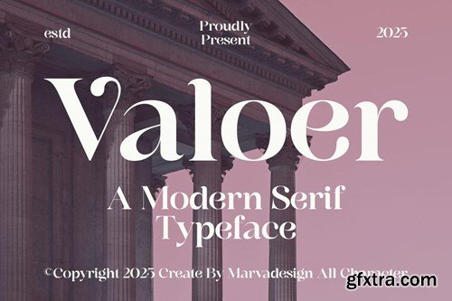 Valoer - A Modern Serif Font SDD46NW