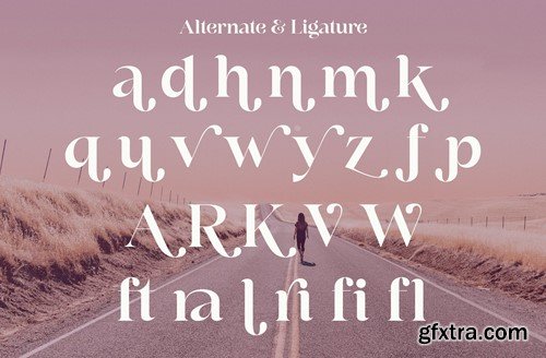 Valoer - A Modern Serif Font SDD46NW