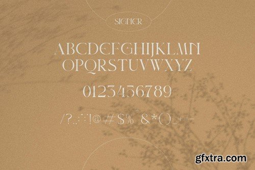 Signer Elegant Serif Font Typeface 2H3EQUW