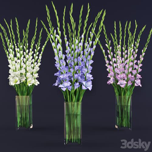 gladiolus bouquet in glass vase