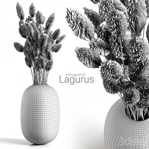 A bouquet of lagurus