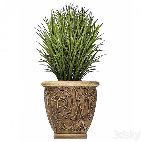 A collection of plants in classic outdoor pots vases with monograms with ferns, bushes, grass, flowerbed. Set 496.