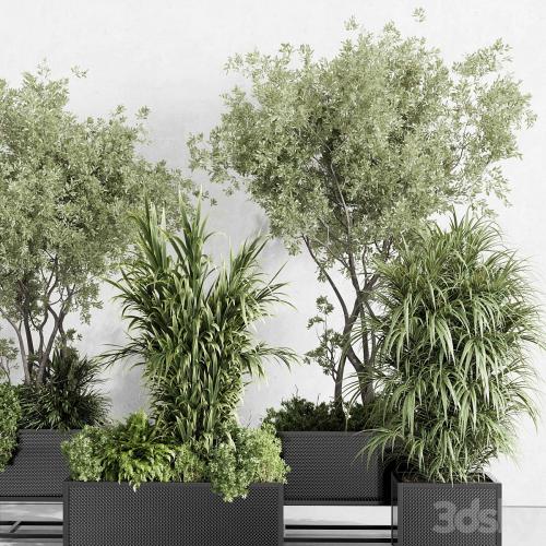 metal box plants on stand - set indoor plant 425