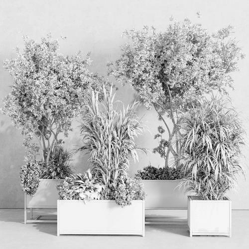 metal box plants on stand - set indoor plant 425