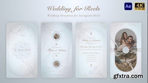 Videohive Wedding Invitation for Instagram Reels 49517030