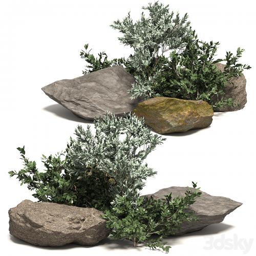 Stone + Bush Pack 8