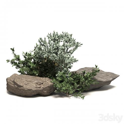 Stone + Bush Pack 8