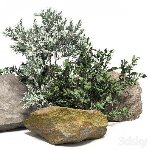 Stone + Bush Pack 8