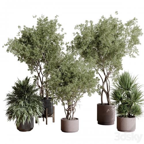 indoor plant set 408 plant tree palm bush concrete dirt vase vray