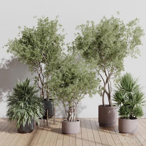 indoor plant set 408 plant tree palm bush concrete dirt vase vray