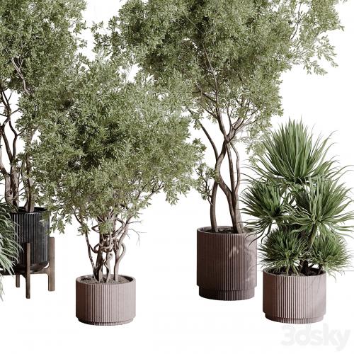 indoor plant set 408 plant tree palm bush concrete dirt vase vray