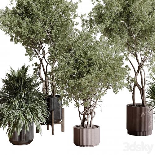 indoor plant set 408 plant tree palm bush concrete dirt vase vray