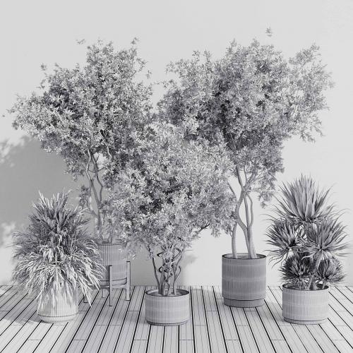 indoor plant set 408 plant tree palm bush concrete dirt vase vray