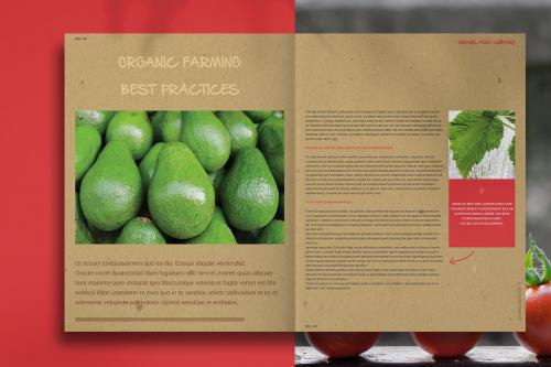 Organic Food Brochure