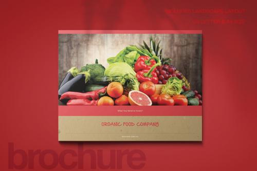 Organic Food Brochure