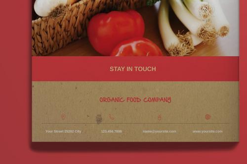 Organic Food Brochure