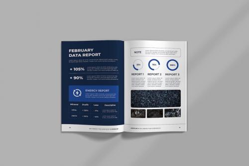 MINE - ANNUAL REPORT