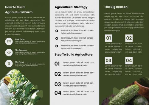 Farm Zones Trifold Brochure