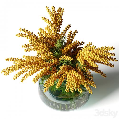 Mimosa in a low glass vase