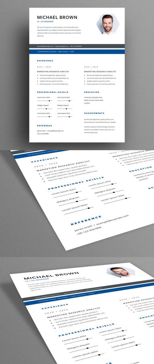 Resume Layout with Blue and Gray Header Elements - 317118914