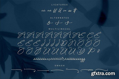 Milogante Shuttker Stylish Signature Font T3WHKQH