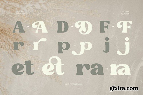 Fresh Almond - Retro Vintage Typeface TANTHAY