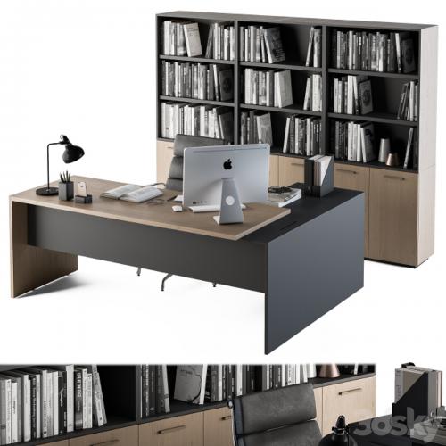 Office Furniture - Manager Set 09