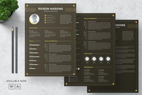 Clean CV Resume