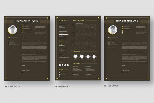 Clean CV Resume